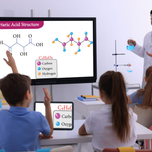 My Board Buddy in the classroom